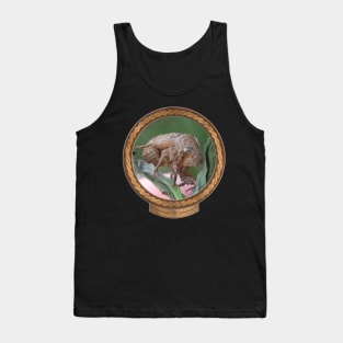 Cicada Shell Front Tank Top